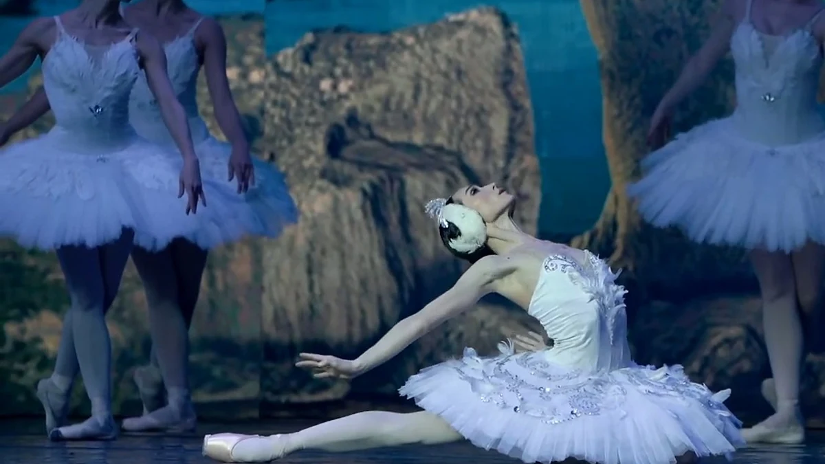 Swan Lake Multimedia