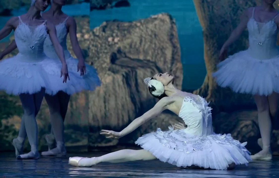Swan Lake — the dying swan